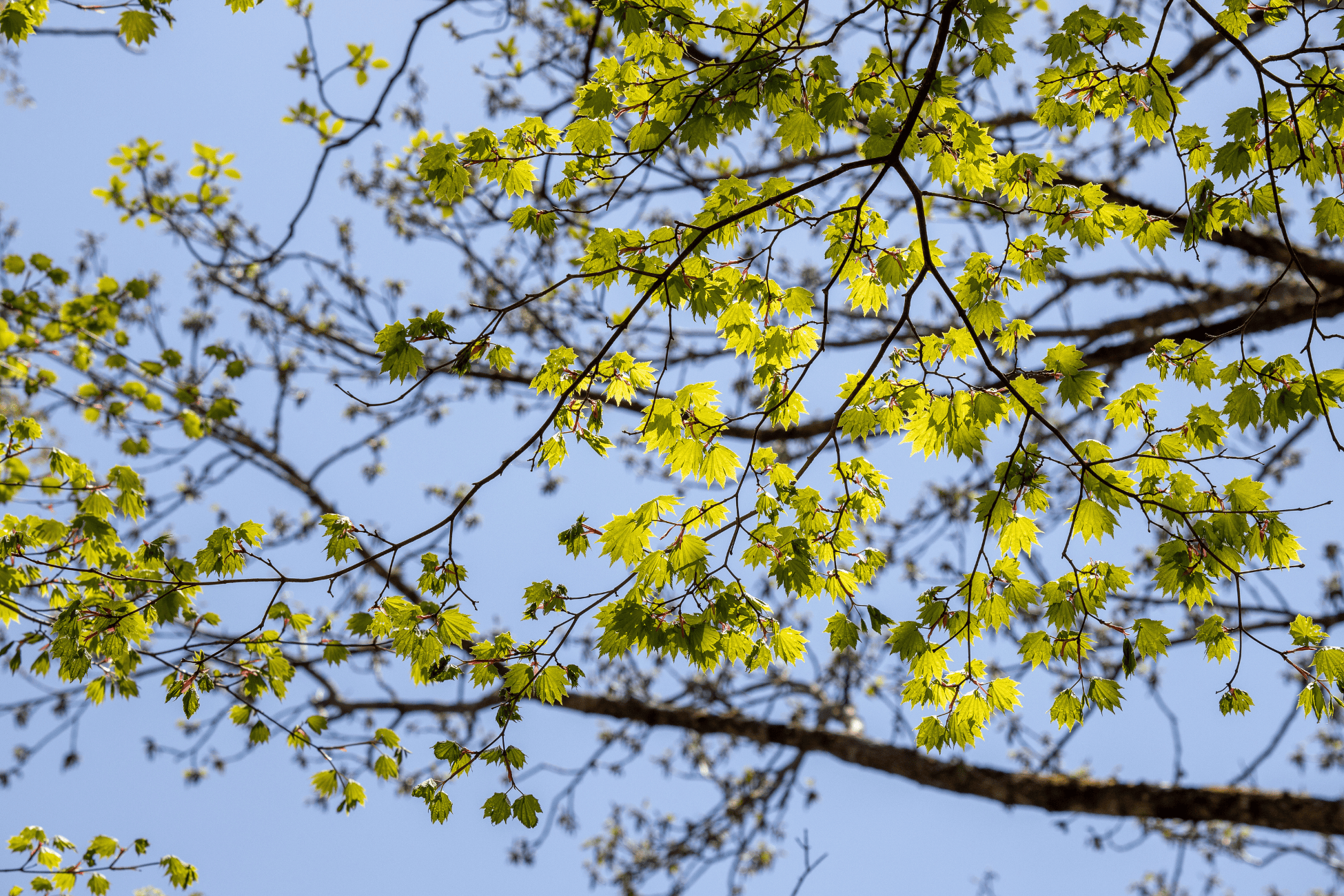活動風景のイメージ