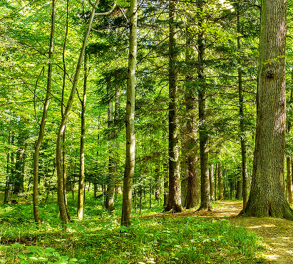 活動風景のイメージ